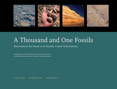 A Thousand and One Fossils - Faysal Bibi, Andrew Hill, Mark Beech