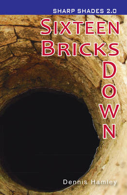 Sixteen Bricks Down  (Sharp Shades) -  Hamley Dennis