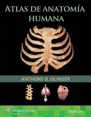 Atlas de anatomía humana - Anthony B. Olinger