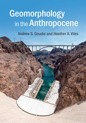 Geomorphology in the Anthropocene - Andrew S. Goudie, Heather A. Viles