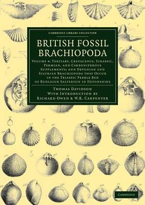 British Fossil Brachiopoda - Thomas Davidson