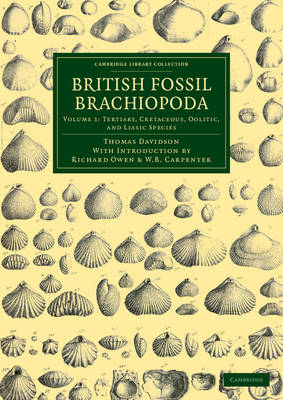 British Fossil Brachiopoda - Thomas Davidson