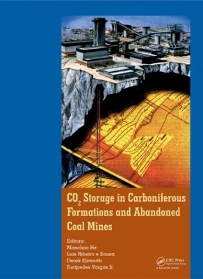 CO2 Storage in Carboniferous Formations and Abandoned Coal Mines - 