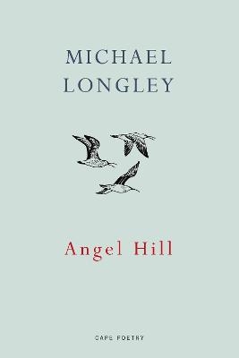 Angel Hill - Michael Longley