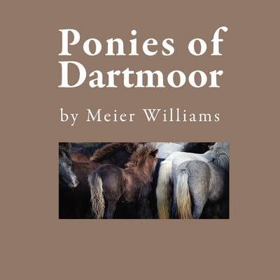 Ponies of Dartmoor - Meier Williams
