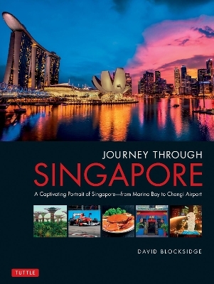 Journey Through Singapore - David Blocksidge