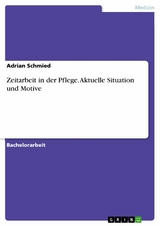 Zeitarbeit in der Pflege. Aktuelle Situation und Motive - Adrian Schmied