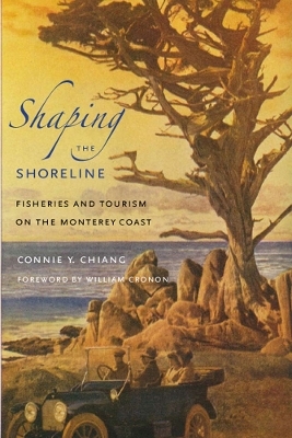 Shaping the Shoreline - Connie Y. Chiang