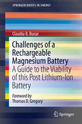 Challenges of a Rechargeable Magnesium Battery - Claudiu B. Bucur