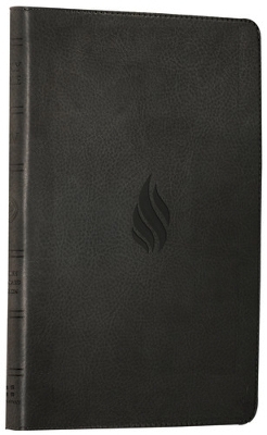 Holy Bible -  Collins Anglicised ESV Bibles
