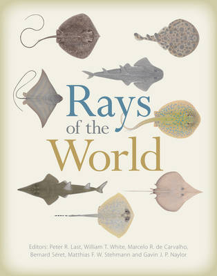 Rays of the World - 