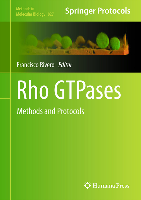 Rho GTPases - 