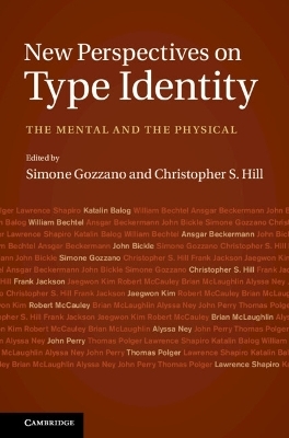 New Perspectives on Type Identity - 