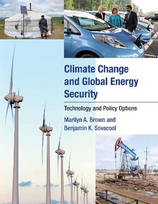 Climate Change and Global Energy Security - Marilyn A. Brown, Benjamin K. Sovacool