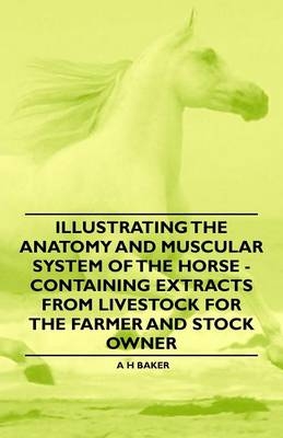 Illustrating the Anatomy and Muscular System of the Horse - Containing Extracts from Livestock for the Farmer and Stock Owner - A H Baker