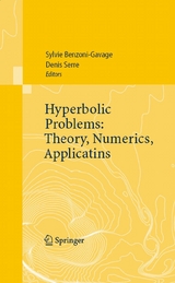 Hyperbolic Problems: Theory, Numerics, Applications - 