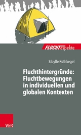 Fluchthintergründe: Fluchtbewegungen in individuellen und globalen Kontexten -  Sibylle Rothkegel