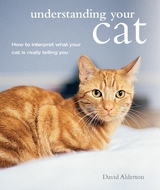 Understanding Your Cat -  David Alderton