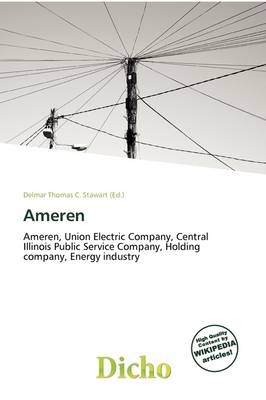 Ameren - 