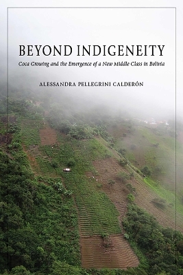 Beyond Indigeneity - Alessandra Pellegrini Calderón