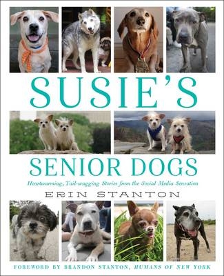 Susie's Senior Dogs - Erin Stanton