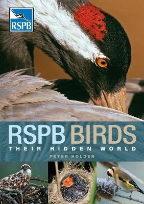 RSPB Birds: Their Hidden World - Peter Holden