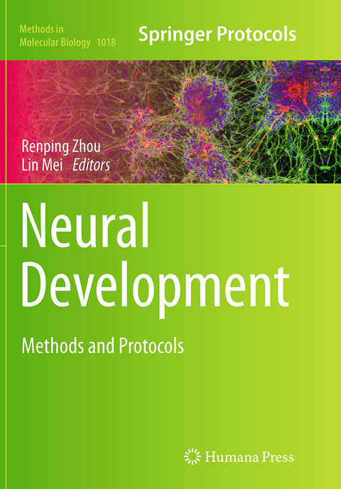 Neural Development - 