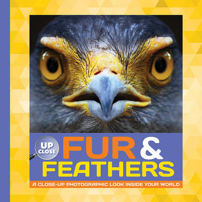 Fur & Feathers - Heidi Fiedler