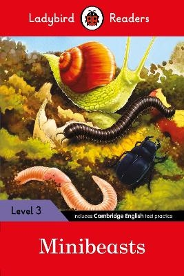 Ladybird Readers Level 3 - Minibeasts (ELT Graded Reader) -  Ladybird