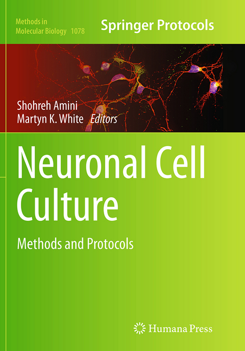 Neuronal Cell Culture - 