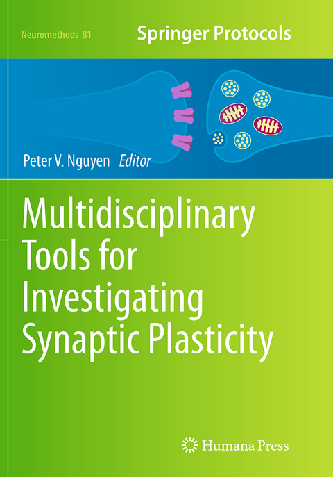 Multidisciplinary Tools for Investigating Synaptic Plasticity - 