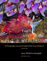 Intertidal Wilderness -  Anne Wertheim Rosenfeld