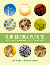 Our Energy Future - Carla S. Jones, Stephen P. Mayfield