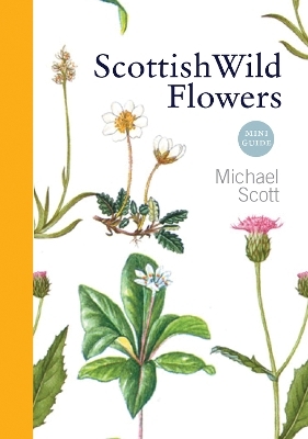 Scottish Wild Flowers - Michael Scott