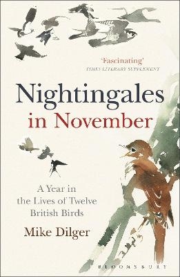 Nightingales in November - Mike Dilger