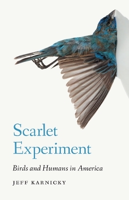 Scarlet Experiment - Jeff Karnicky