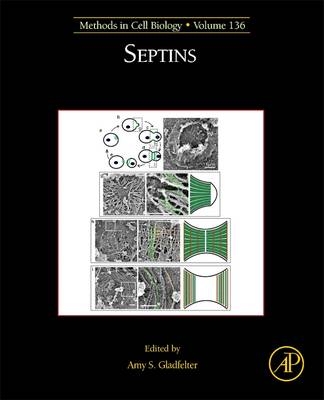 Septins - 