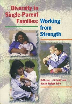 Diversity in Single-Parent Families - 