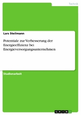 Potentiale zur Verbesserung der Energieeffizienz bei Energieversorgungsunternehmen - Lars Steilmann