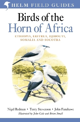 Field Guide to Birds of the Horn of Africa - Nigel Redman, Terry Stevenson, John Fanshawe