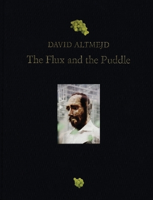 David Altmejd: The Flux and the Puddle - 