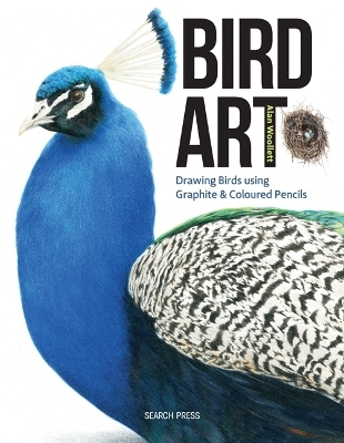 Bird Art - Alan Woollett