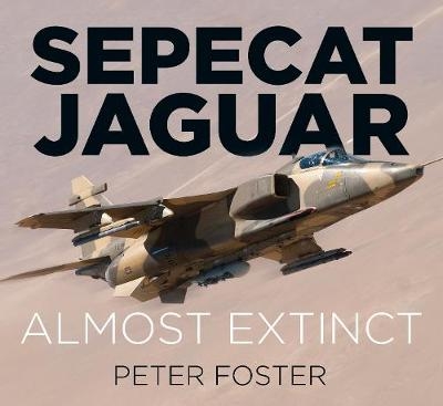 Sepecat Jaguar - Peter Foster