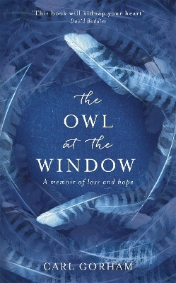 The Owl at the Window - Carl Gorham