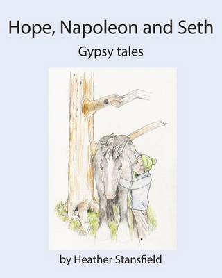 Hope, Napoleon & Seth - Heather Stansfield