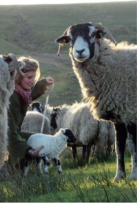 Yorkshire Shepherdess Notebook, The - Amanda Owen