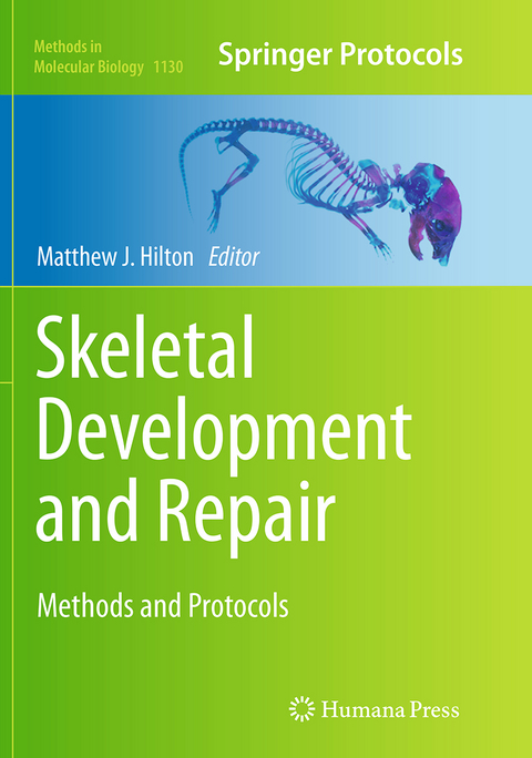 Skeletal Development and Repair - 