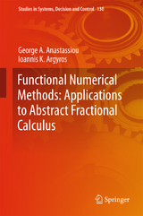 Functional Numerical Methods: Applications to Abstract Fractional Calculus - George A. Anastassiou, Ioannis K. Argyros