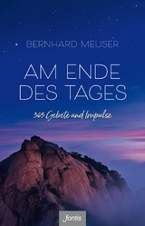 Am Ende des Tages - Bernhard Meuser