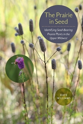 The Prairie in Seed - Dave Williams